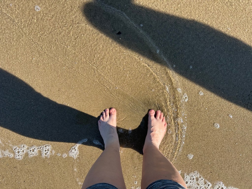 Welcome to Unpacking Freedom